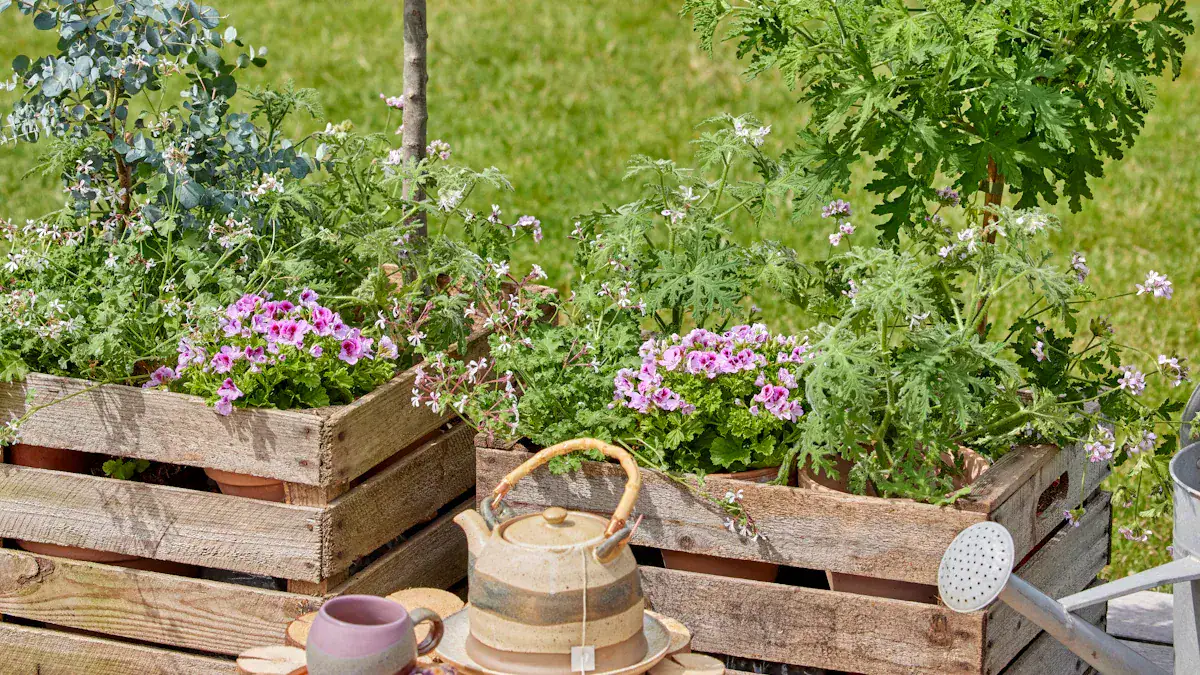 How to Protect and Reseal Wood on Your Raised Garden Beds