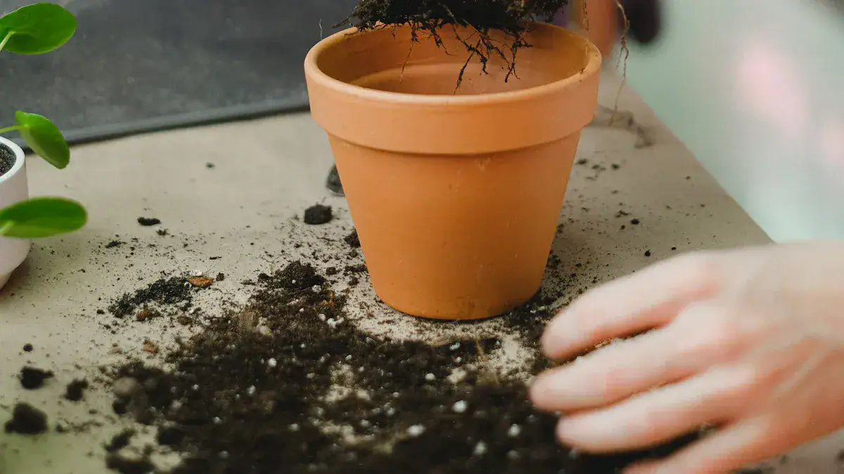 Natural And Preventative Root Control