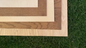 Types Of Wood And Lumber For Building: Best Uses