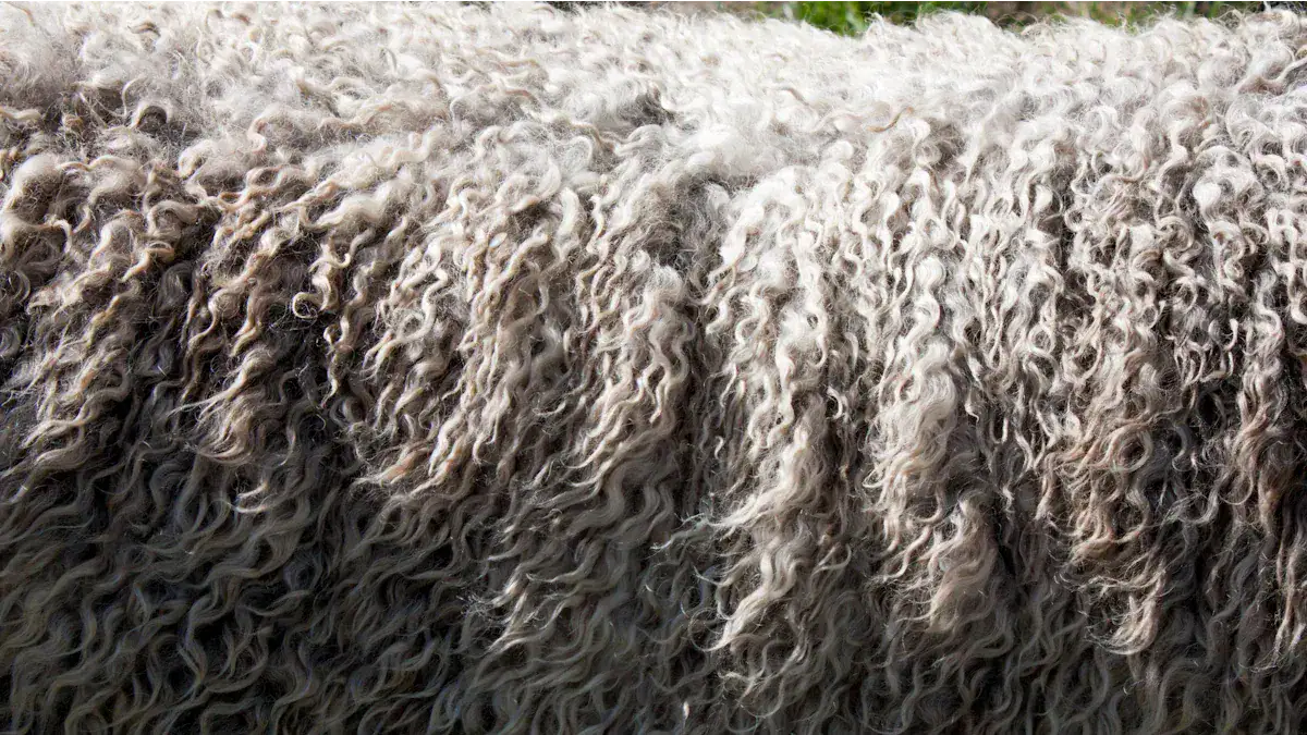 Benefits of Sheep Wool Insulation