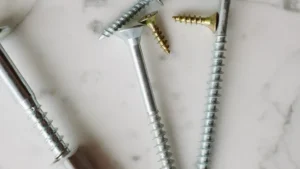 Construction Screws Vs Wood Screws: Differences & Uses