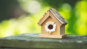 DIY Finch Bird House Plan: Free Build & Nesting Box