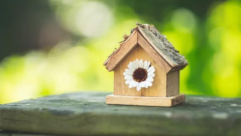 DIY Finch Bird House Plan: Free Build & Nesting Box