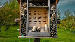 DIY Bee House Plans: Build a Solitary Bee Hotel
