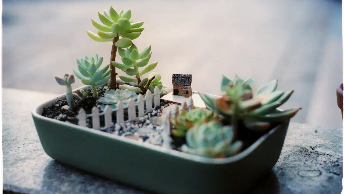 Planting Succulents in DIY Planters