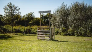 DIY Lemonade Stand Plans: Easy Step-by-Step Build