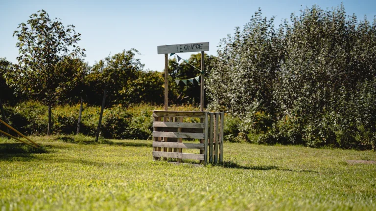 DIY Lemonade Stand Plans: Easy Step-by-Step Build