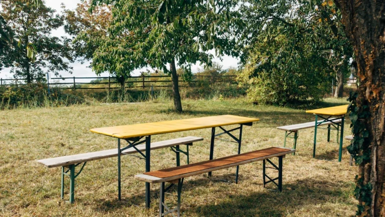 DIY Foldable Picnic Table Bench Plans: Easy Build