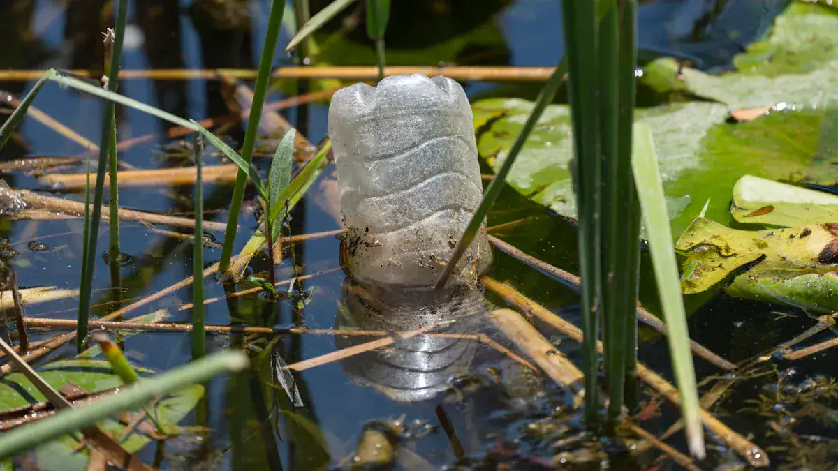 How to Make a Water Filter: Step-by-Step