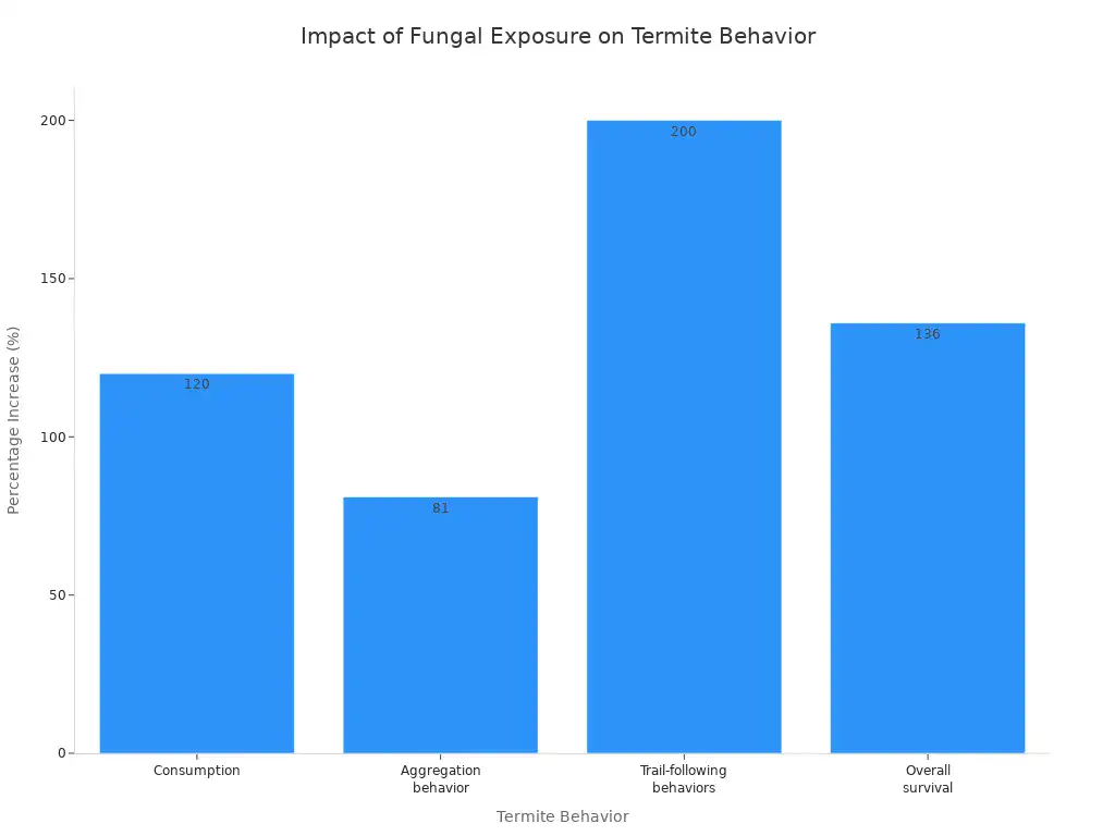 A bar chart illustrating the percentage increase in various termite behaviors, including consumption, aggregation behavior, trail-following behaviors, and overall survival, after fungal exposure.