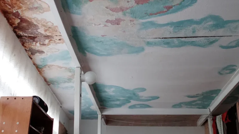 Can You Paint Ceiling Tiles? Tips & Best Paint