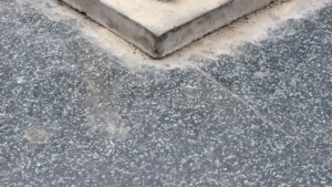 Types Of Basement Floor Drains: Styles and Function