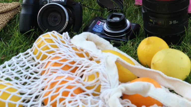 How To Make A Picnic Basket At Home: DIY Guide