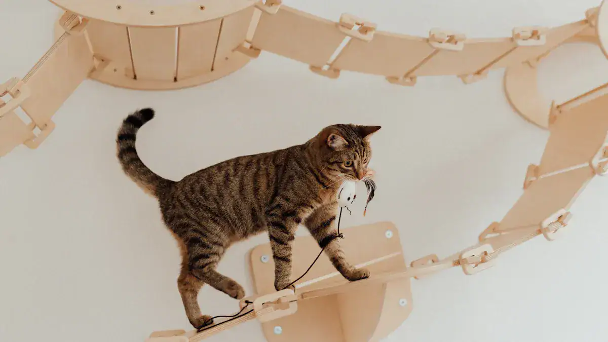 Where Mice Hide: Ceilings and Beyond