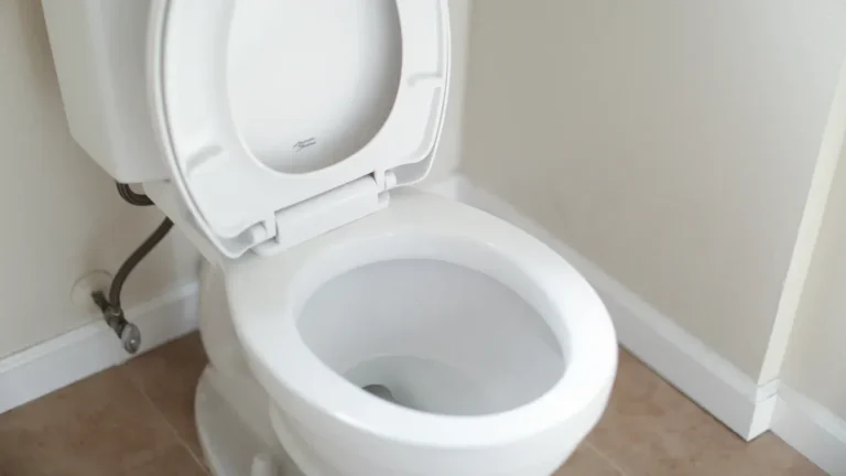 How long to wait to flush a clogged toilet