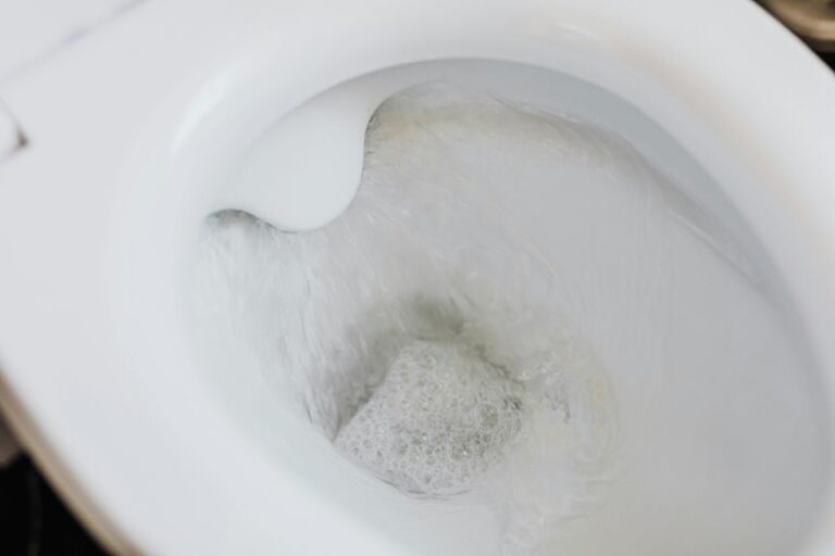 deep toilet bowl cleaning