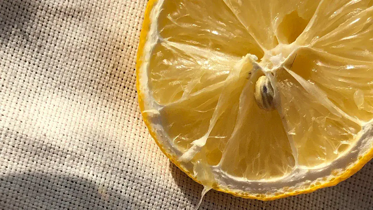 Rust Stain Removal Methods