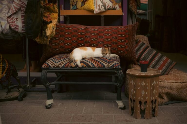 flea removal quick tips