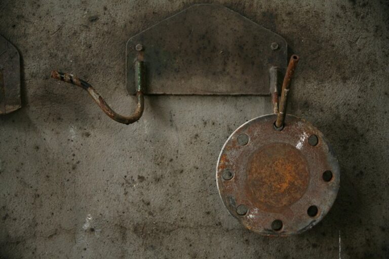 related youtube shorts