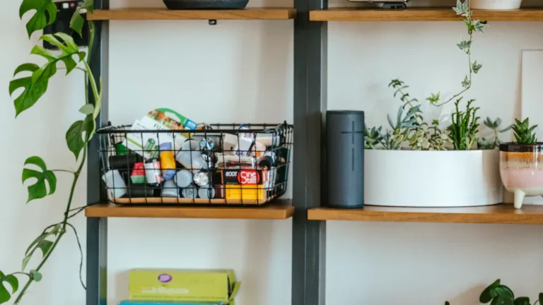 DIY Shelves for Any Home Decor Style: Easy Custom Storage