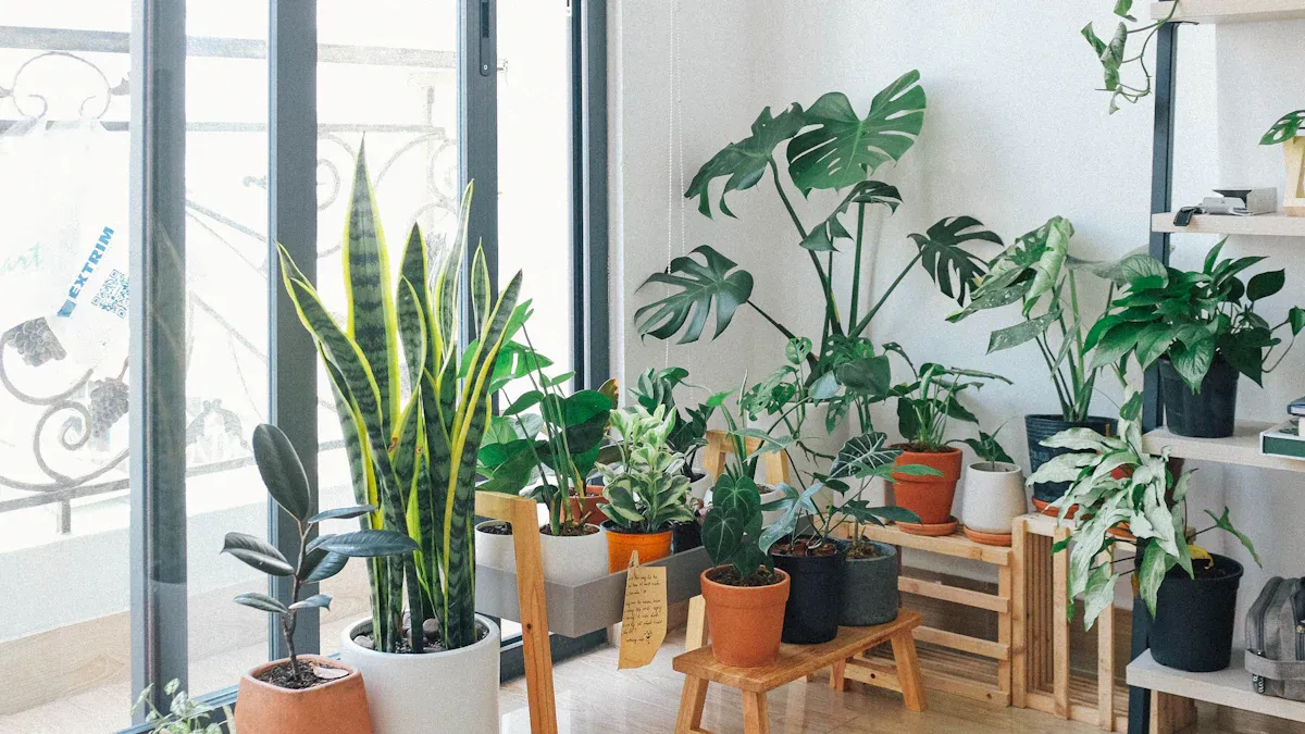 Indoor DIY Planter Ideas