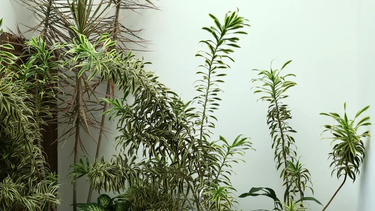 Bringing Nature Indoors: Plants