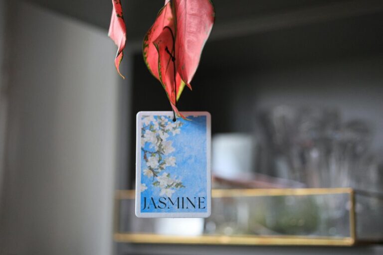 top air fresheners 2025