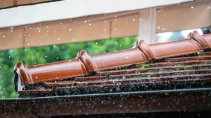 Roof Edges, Gutters & Drainage: How Water Leaves Your House