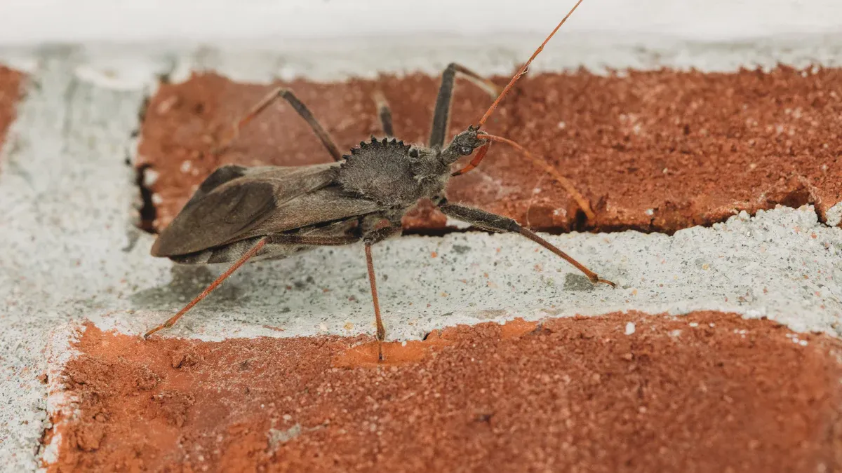 Exterior Walls & Openings: Preventing Pests and Moisture Intrusion