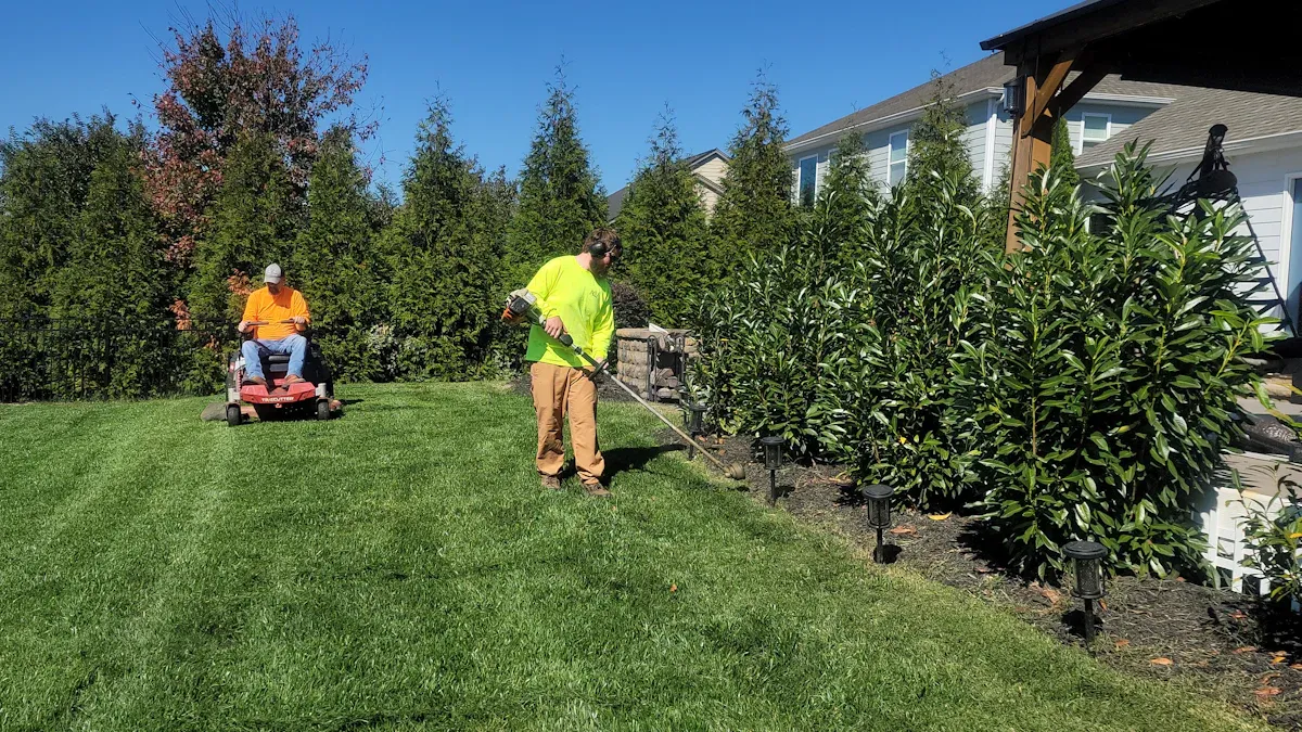 Essential Yard Maintenance