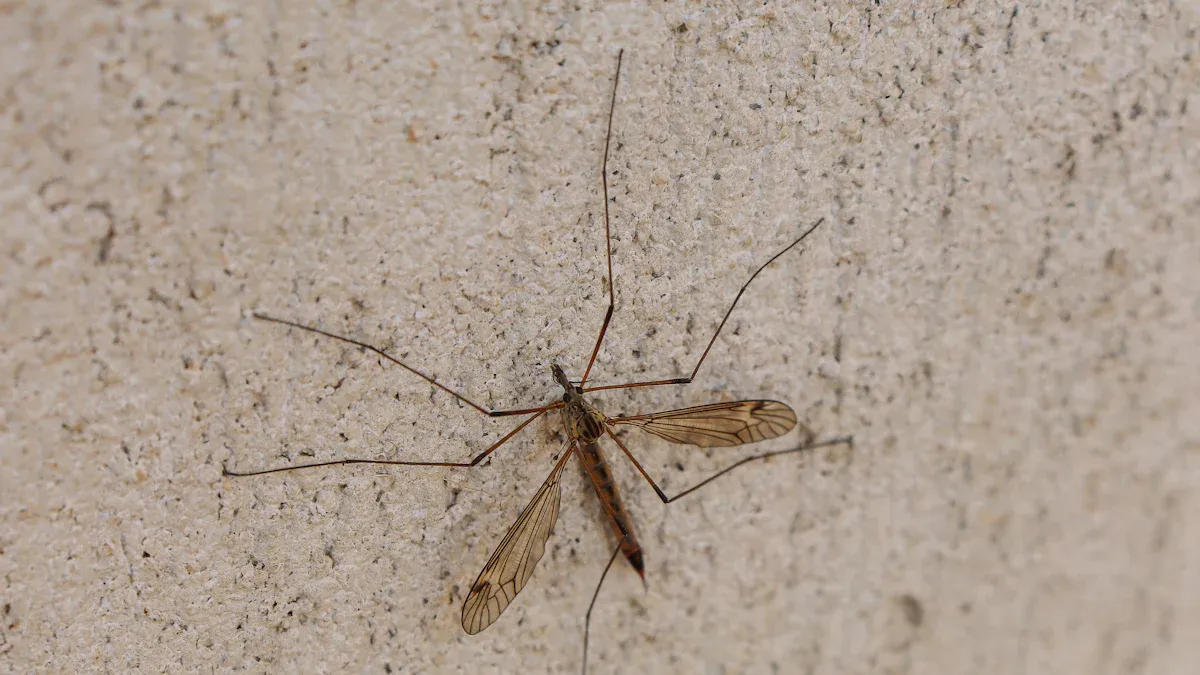 Understanding Pest and Moisture Threats