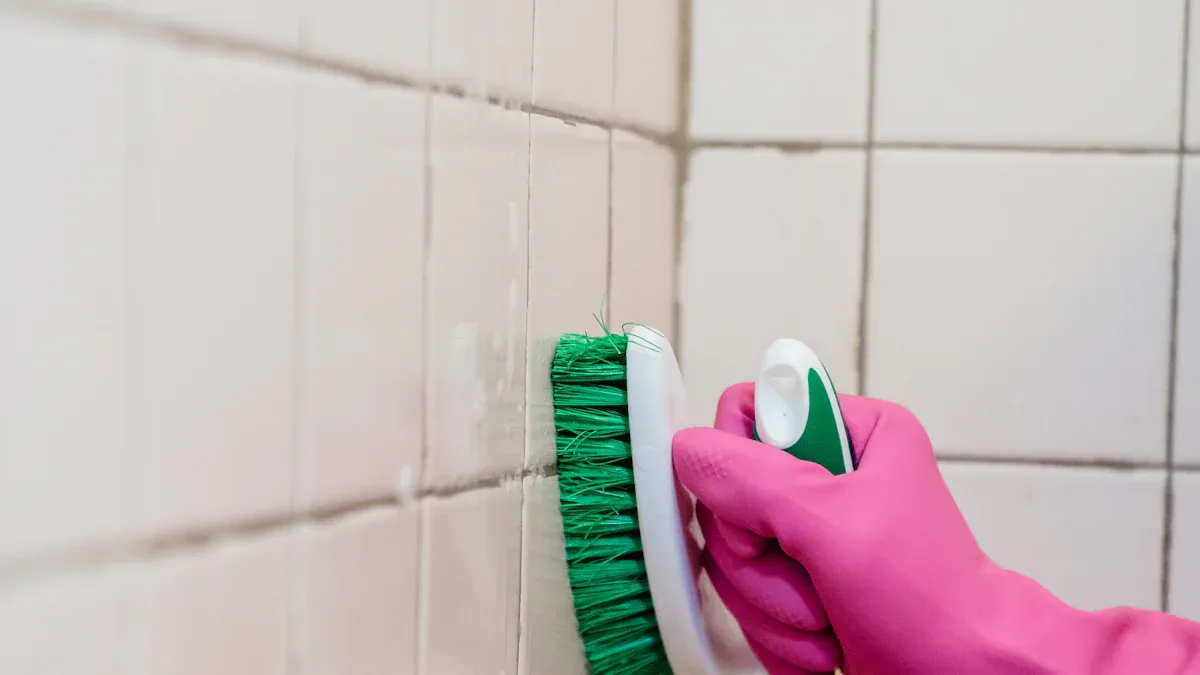 Mold Removal Strategies: