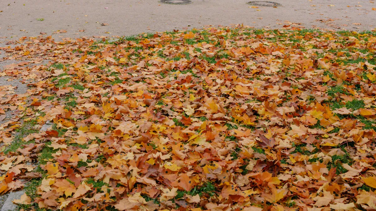 Fall Home Maintenance Checklist