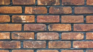 Choosing Materials for Walls, Paint & Finishes That Last