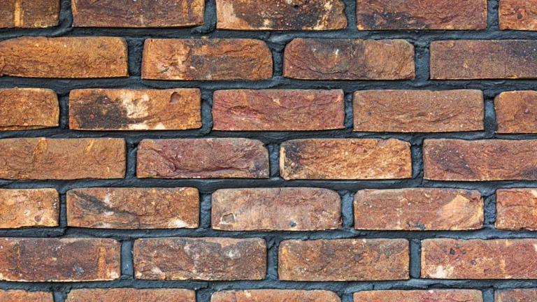 Choosing Materials for Walls, Paint & Finishes That Last