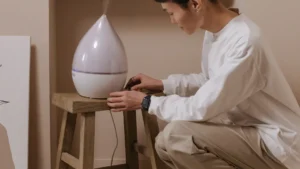 Indoor Air Quality: How to Make Your Home Healthier